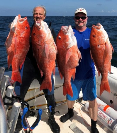 Dr. John Brown and Dr. Tom Roberts picked off some amazing red snapper while spearfishing in 130 ft water off Orange Beach, AL.