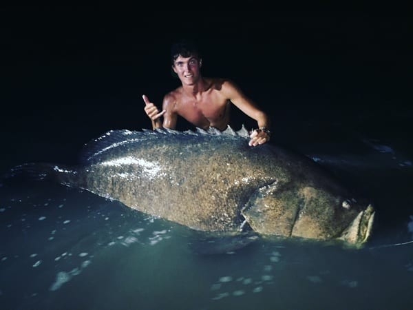 Kody Parmentier with a Goliath Grooper cought on Barracuda right off the beach. The fight was a hour and fifteen minutes long to get this big boy in.