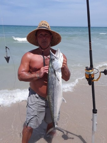 The fish was caught on Melbourne Beach using cut mullet. It was 32". Al Royes