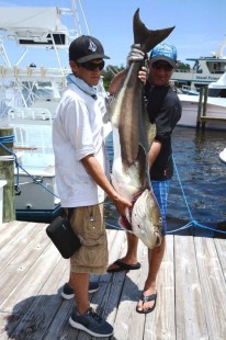 First Place Cobia 44lbs-2017-w