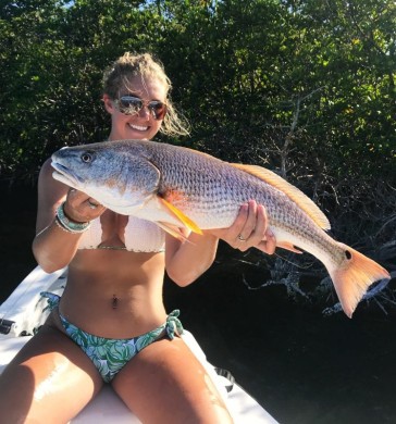 Indian River Red Fish