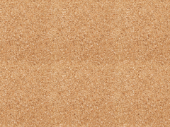 corkboard-background-with-seamless-cork-texture-thumb47