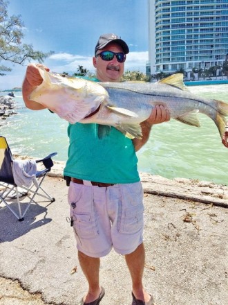Sandro Licursi caught this monster snook
at Haulover Inlet on a live mullet.