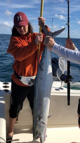 Big kingfish