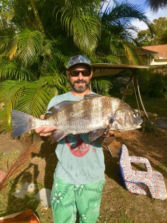 Black drum at the causeway