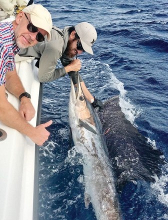 Sailfish tag and release aboard Bouncer’s Dusky 33.