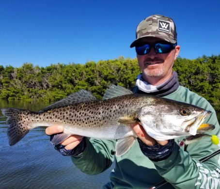 Seatrout
