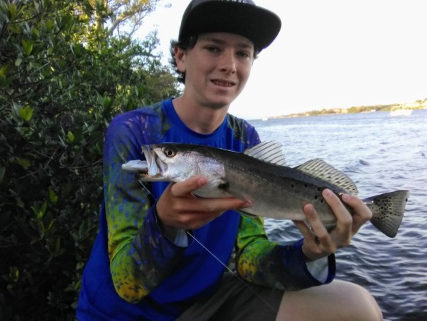 Nice sea trout caught on a swimbait