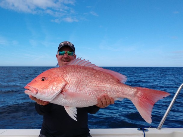 Massive Red Snapper!