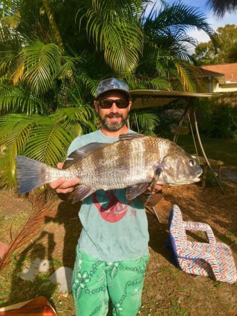 more drum at the causeway