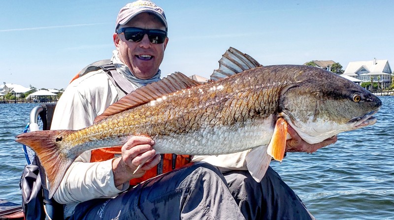 Marty Mood with a bull red while trout fishing the grass flats in Pensacola.