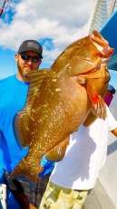 Fat red grouper