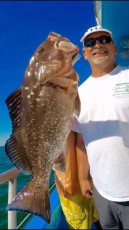Sweet red grouper