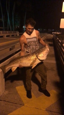 Mathers monster