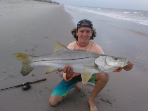 Surf Snook