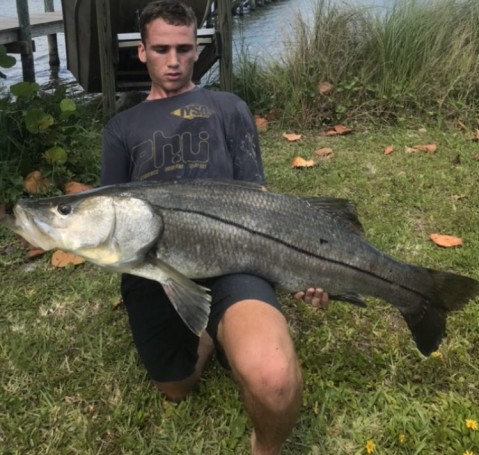 44” snook