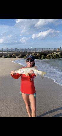 Surf Snook