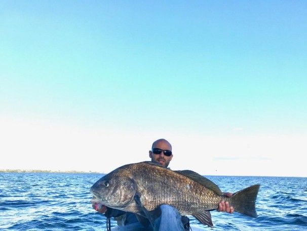 Black Drum Melbourne Causeway