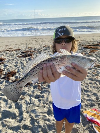 Beautiful beach trout