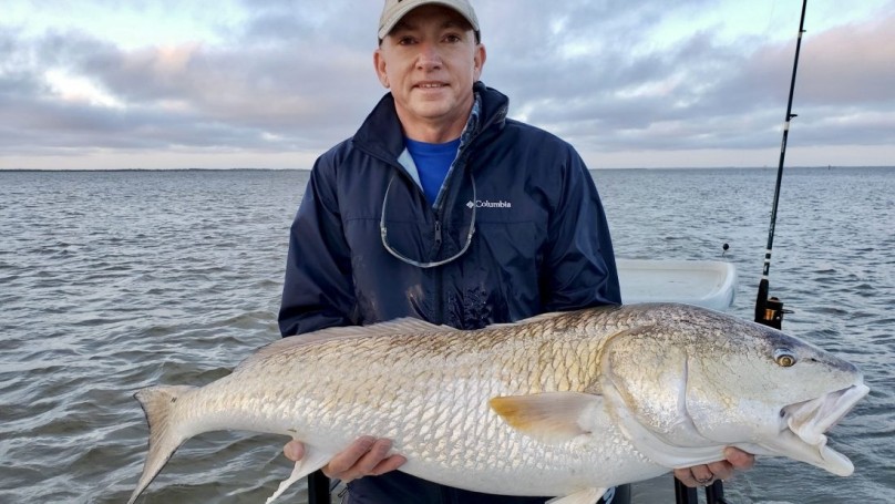 Red in Indian Lagoon