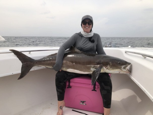 85.5 lb cobia