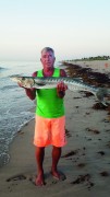 Pete Moccia with a big cuda  from the surf in Delray.