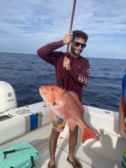 Red snapper frenzy