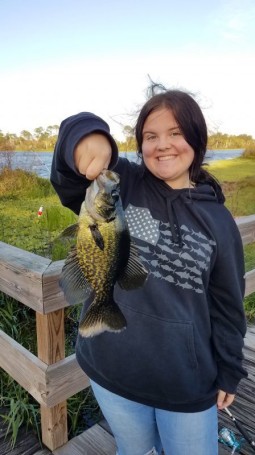 Black Crappie