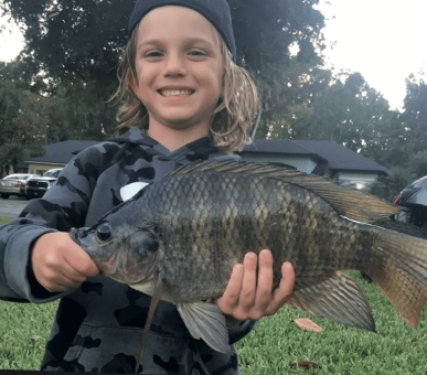 Gavin Nowack with a huge Tilapia in private pond in Oviedo
