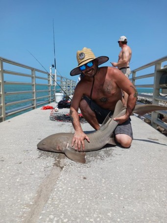 First Nurse Shark