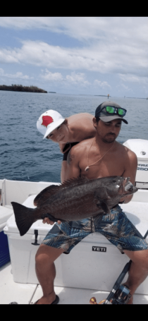Trolling for grouper