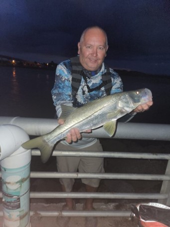 Night time Snook