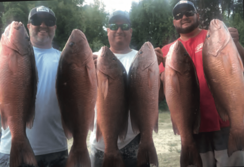 Will, John and Joe with a big haul of East Coast Mangrove Snapper out of Ponce Inlet fishing aboard the “NO SHOT”