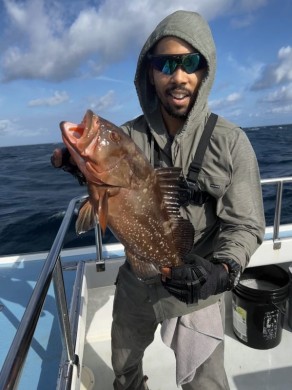 Red grouper