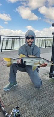 Personal best snook