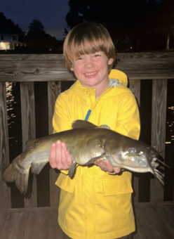 5 yr. old Oscar Volinschi caught this nice “Cat” in greenwood Lake, Lk. Mary