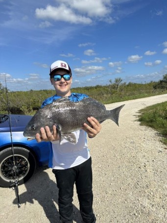 Black drum frenzy