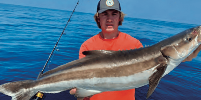 Giant cobia caught fishing aboard “Fired-up Charters” out of Port Canaveral