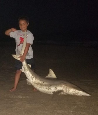 Blacktip