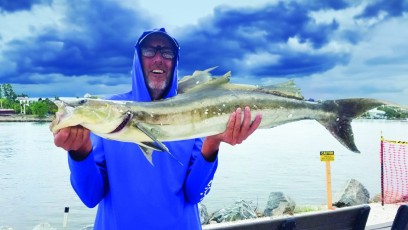 Donald Helmericks, Jr. proudly displaying an 18# 37” cobia caught in the S. jetty in Venice.