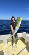 Mahi