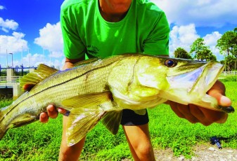 Caught this snook off of a spillway with 10lb line!