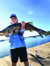 Lil Jason L. with a 38” snook on live whiting in Bradenton FL.