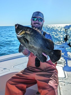 A  very nice 24” tripletail caught off of Anna Maria Island, FL by Max Lee.