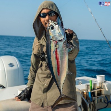 Baby blackfin
