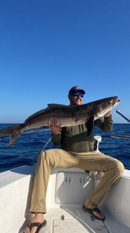 First Cobia