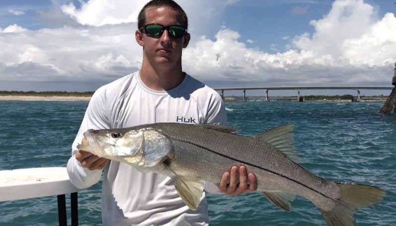 Summer Snook