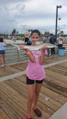 Blacktip Shark