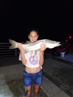 Snook