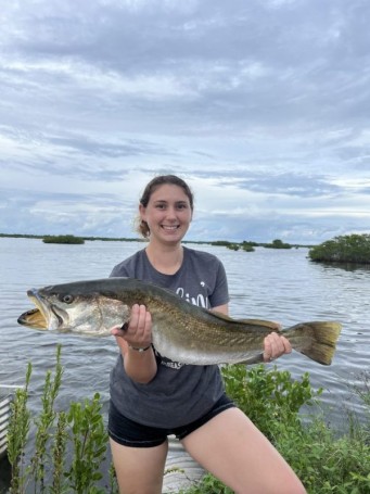 Gator trout